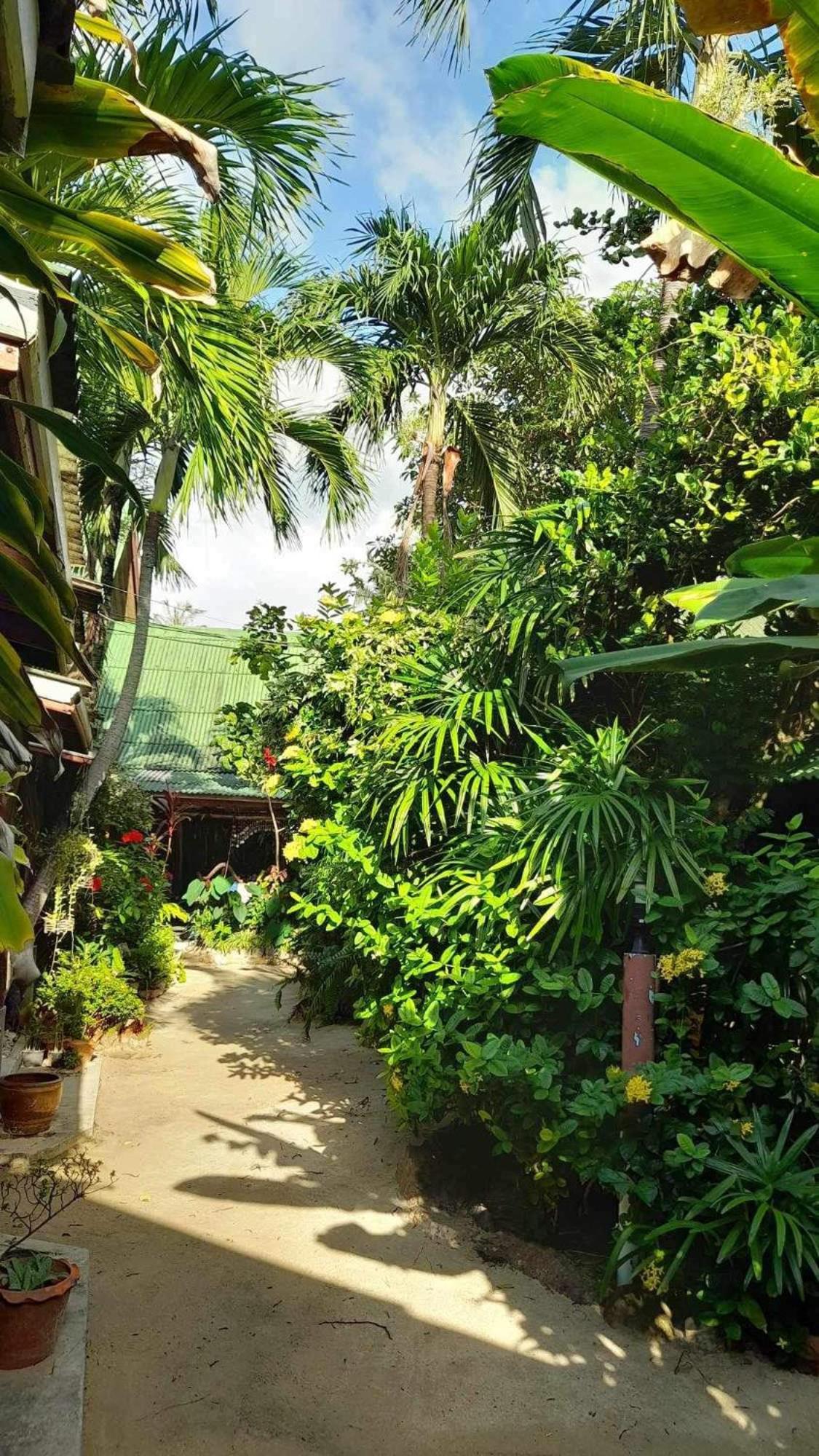 Beer'S House Bungalows เบียร์เฮ้าส์บังกะโล Ban Lamai Ngoại thất bức ảnh