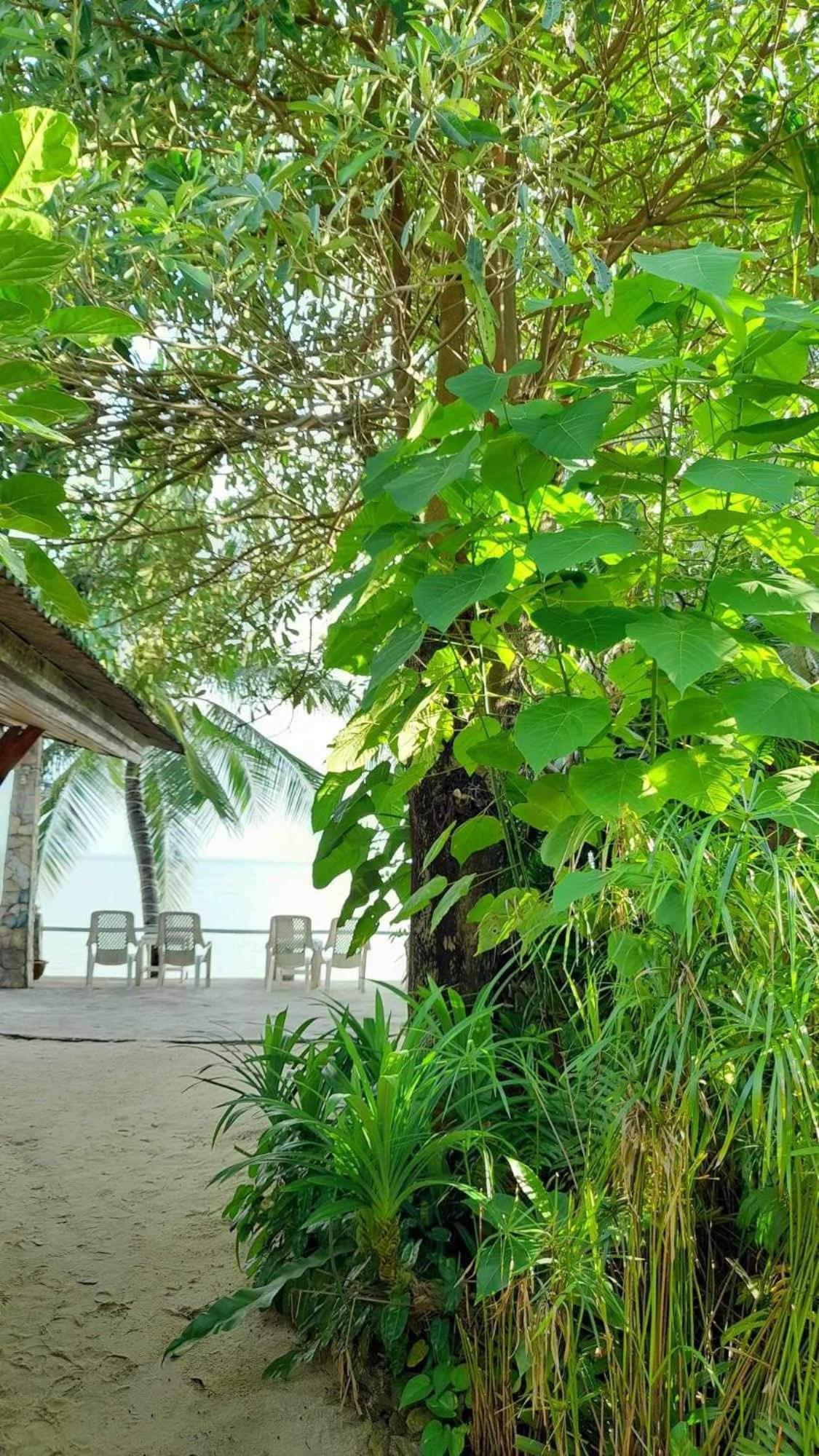 Beer'S House Bungalows เบียร์เฮ้าส์บังกะโล Ban Lamai Ngoại thất bức ảnh